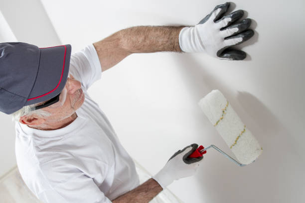 Best Attic Mold Removal  in Wheatland, WY