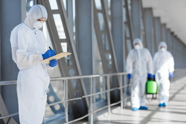 Best Mold Damage Restoration  in Wheatland, WY