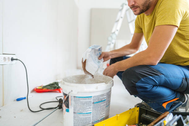 Professional Mold Removal in Wheatland, WY