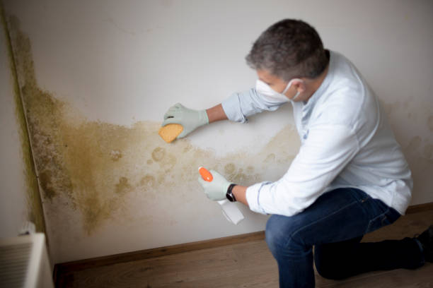Best Residential Mold Inspection & Testing  in Wheatland, WY