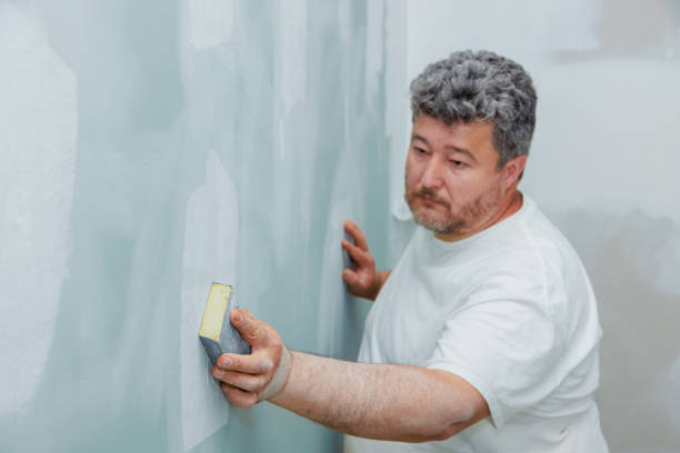 Best Black Mold Removal  in Wheatland, WY