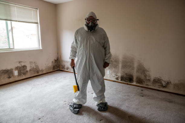 Best Mold Remediation for Healthcare Facilities  in Wheatland, WY