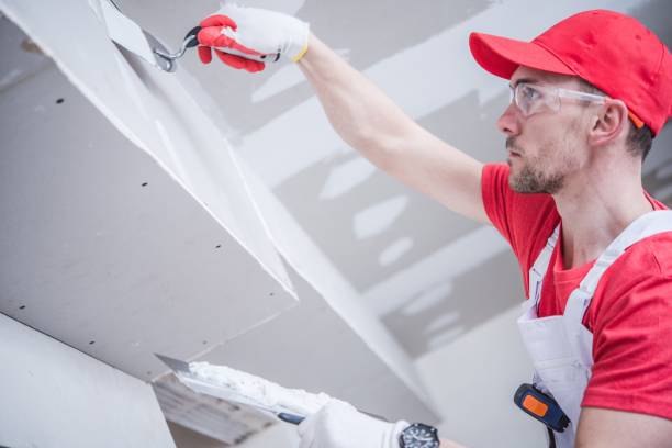 Best Mold Removal for HVAC Installations  in Wheatland, WY